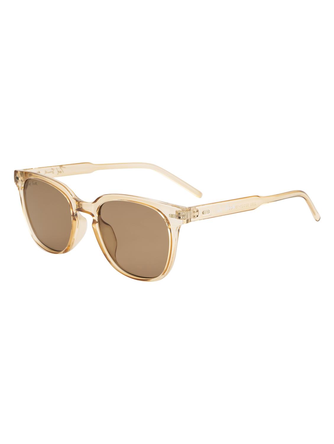 jagger wayfarer in brown sunglasses  - 18462424 -  Standard Image - 1