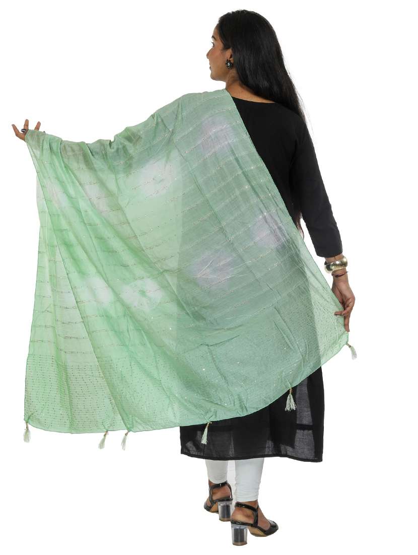 neo mint embroidered dupatta - 18498267 -  Standard Image - 1