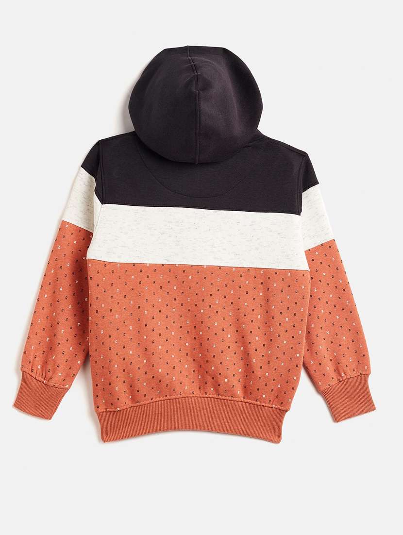 boys color block hooded sweatshirt - 18518453 -  Standard Image - 1