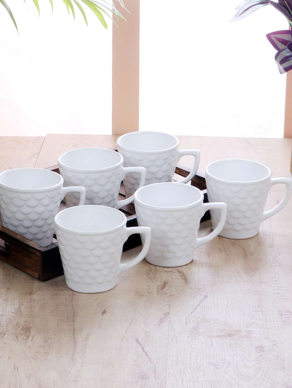 set of 6 tea & coffee cup