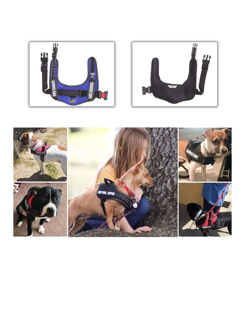 blue plastic harnes - 18692046 -  Standard Image - 1