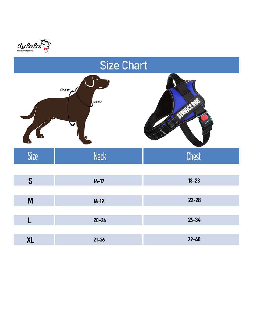 blue plastic harnes - 18692046 -  Standard Image - 4