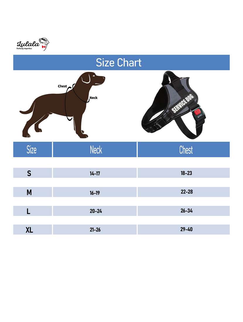 grey plastic harnes - 18692047 -  Standard Image - 4