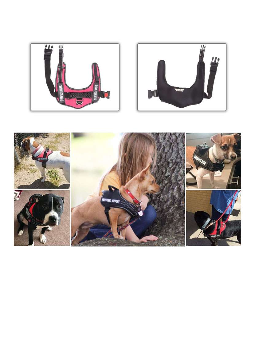 pink plastic harnes - 18692048 -  Standard Image - 1