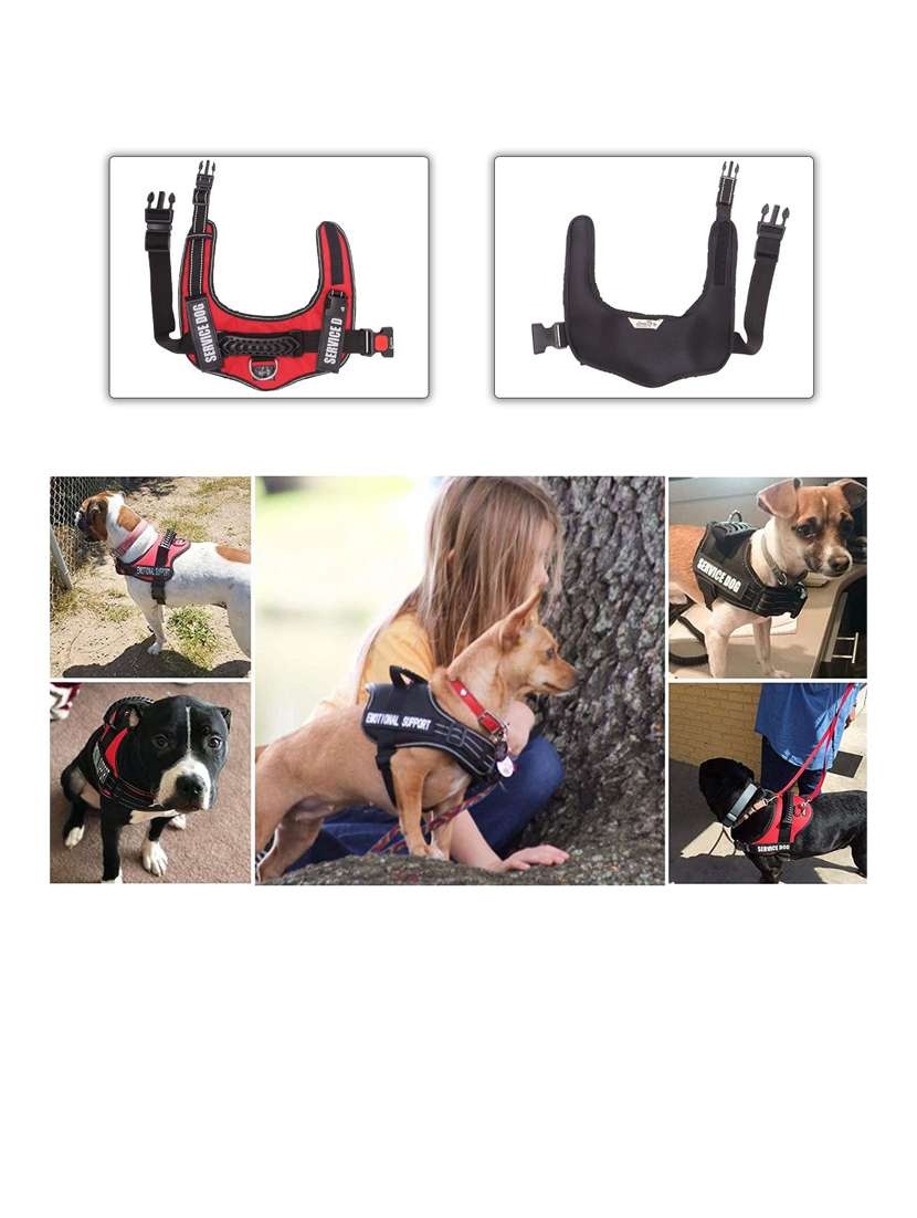 red plastic harnes - 18692049 -  Standard Image - 1