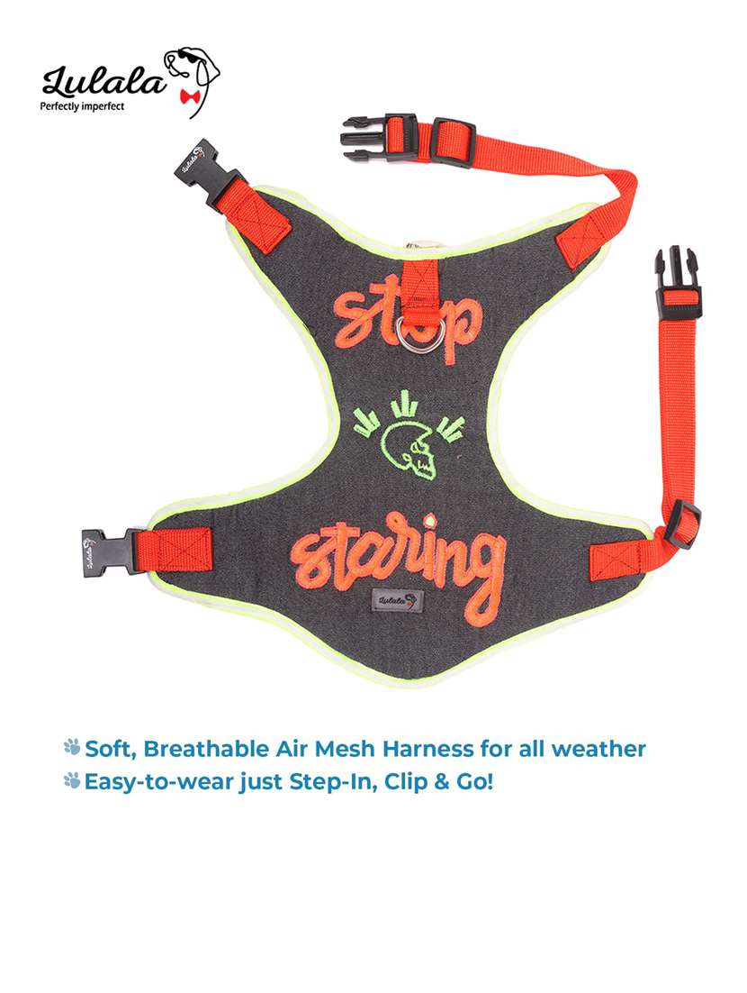 multi colored nylon harnes - 18692051 -  Standard Image - 1