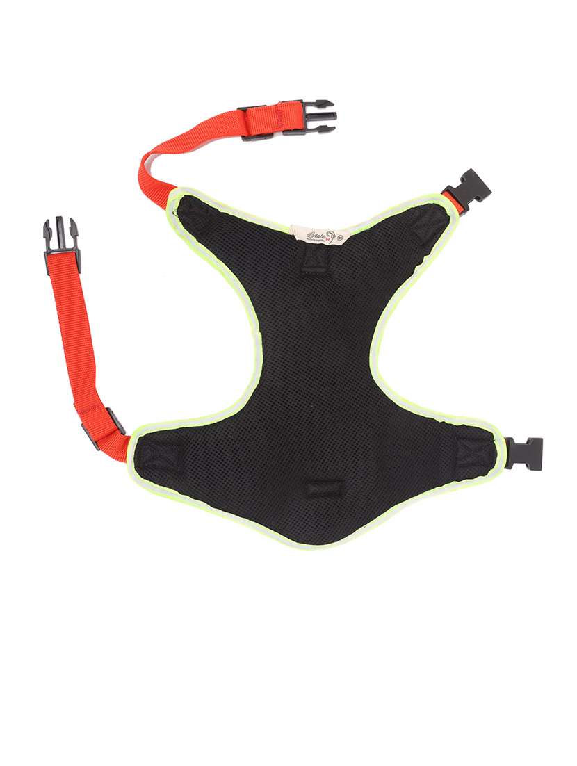 multi colored nylon harnes - 18692051 -  Standard Image - 4