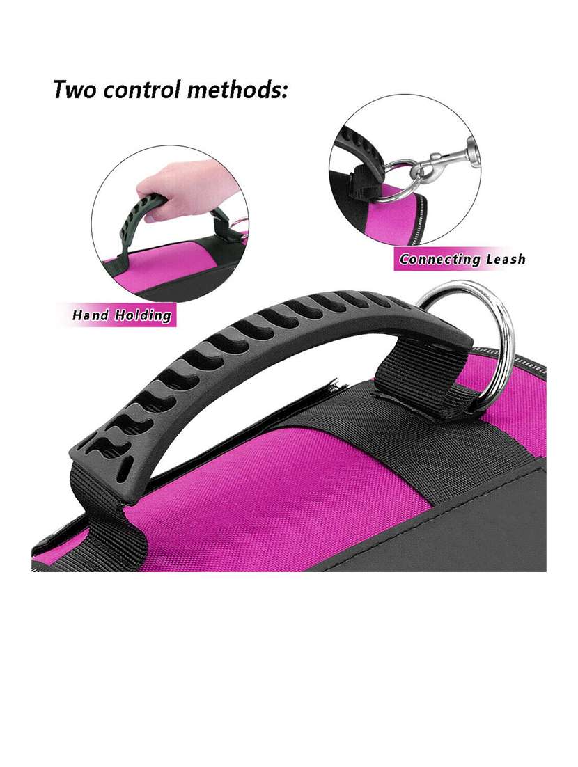 purple nylon harnes - 18692052 -  Standard Image - 1