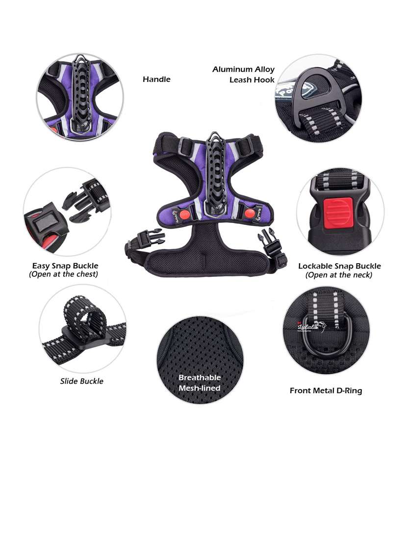 purple nylon harnes - 18692057 -  Standard Image - 1