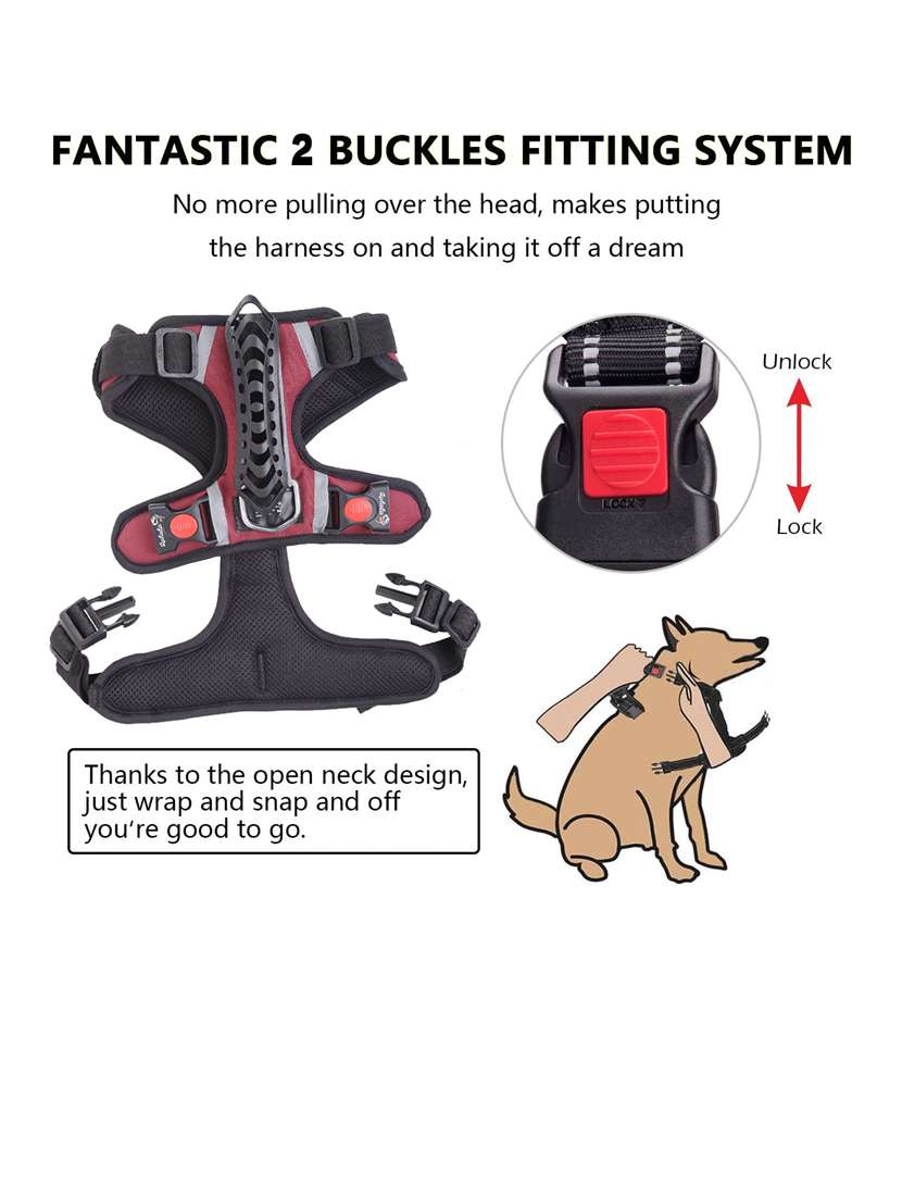 red nylon harnes - 18692059 -  Standard Image - 1