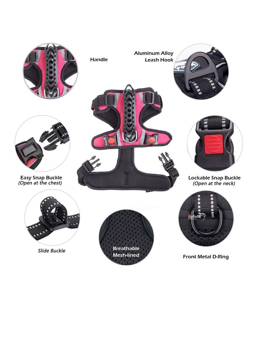 pink nylon harnes - 18692060 -  Standard Image - 1