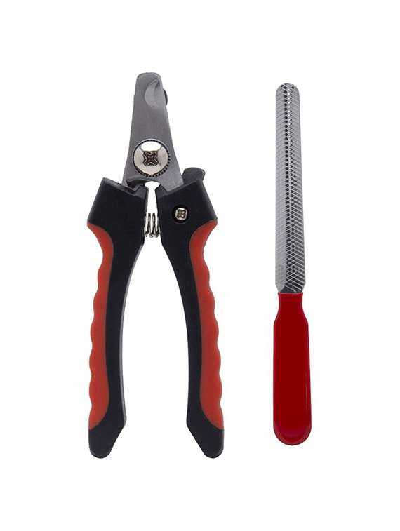 multi colored plastic pet comb brush - 18696942 -  Standard Image - 1