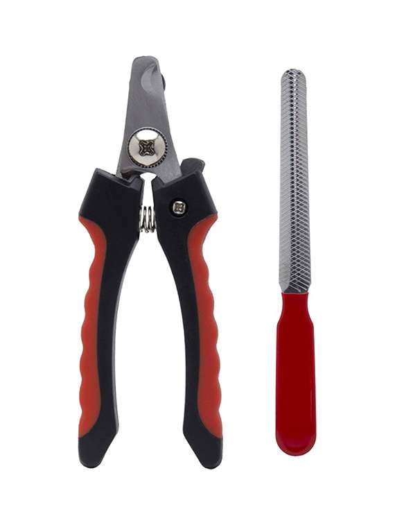 multi colored plastic pet comb brush - 18696949 -  Standard Image - 1