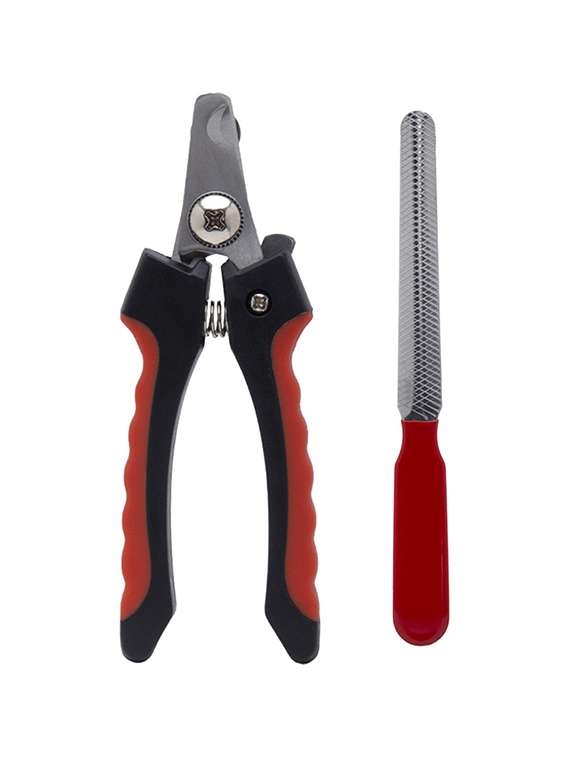 multi colored plastic pet comb brush - 18696953 -  Standard Image - 1