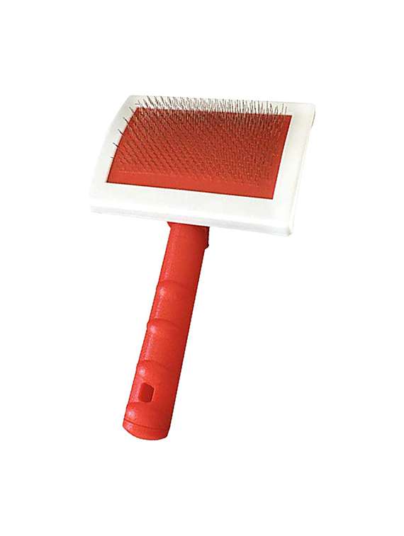 multi colored plastic pet comb brush - 18696980 -  Standard Image - 1