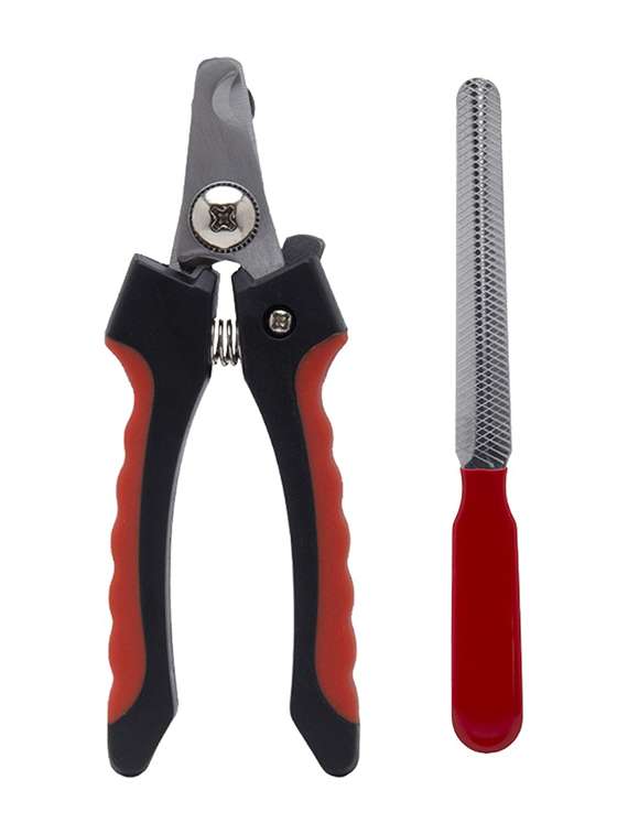 multi colored plastic pet comb brush - 18696997 -  Standard Image - 1