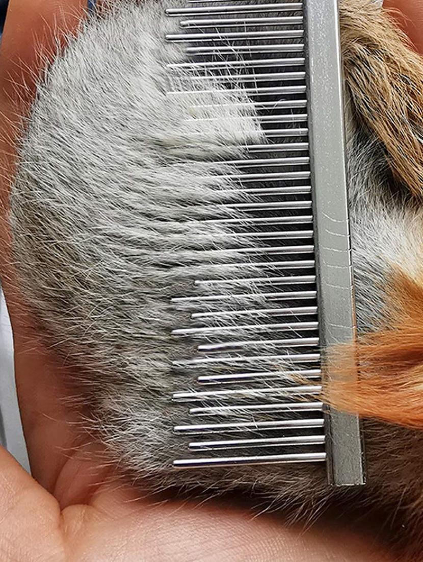 red stainless steel pet comb brush - 18697085 - Standard Image - 4