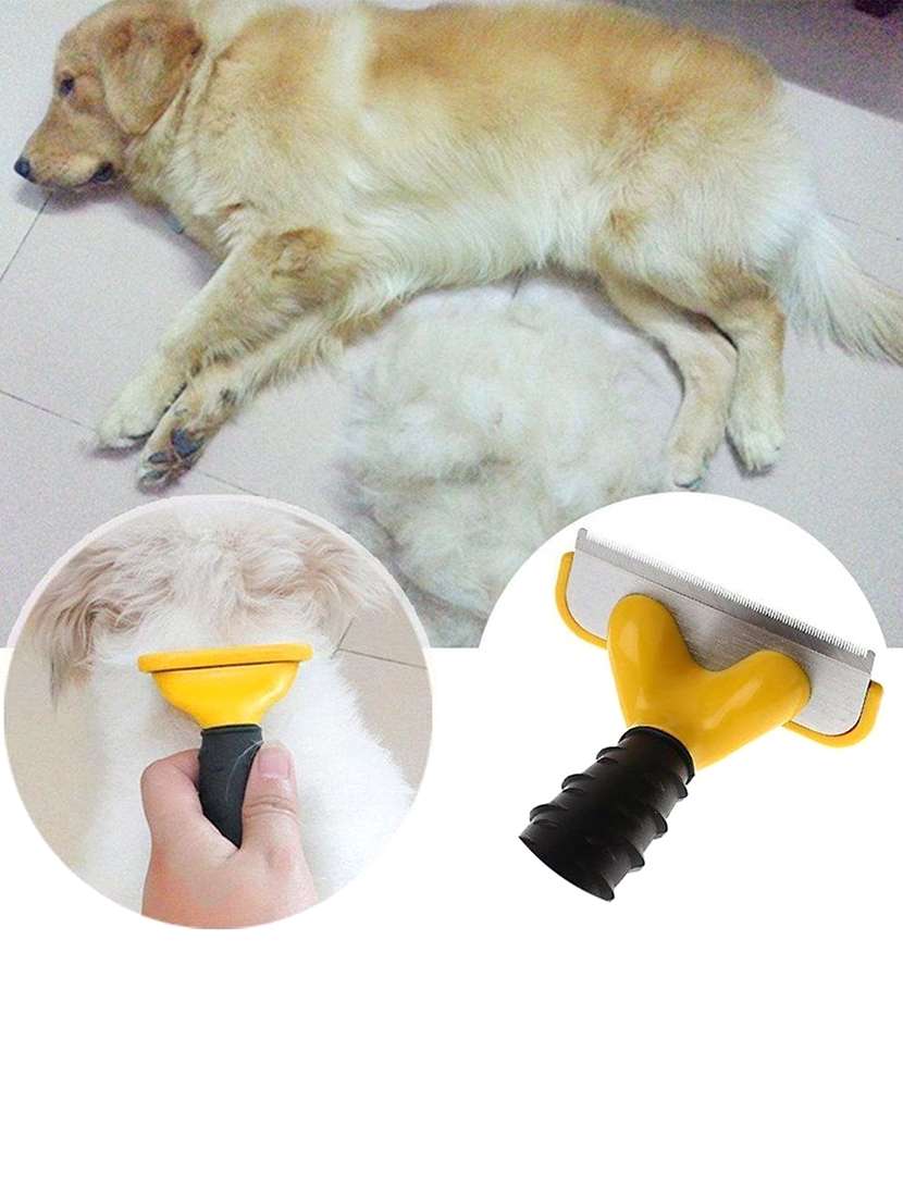 yellow plastic pet comb brush - 18697189 -  Standard Image - 1