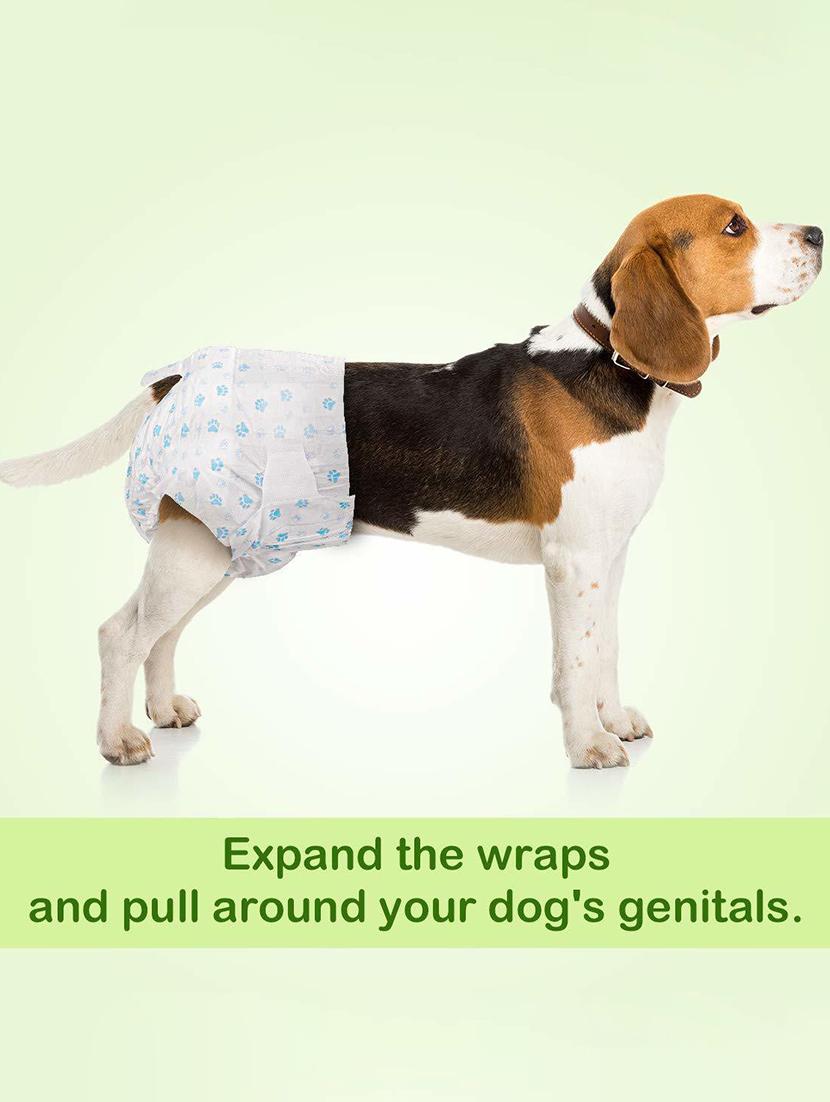 multi colored polypropylene disposable pet diaper - 18697286 - Standard Image - 1