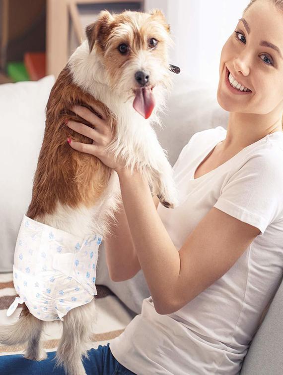 multi colored polypropylene disposable pet diaper - 18697286 - Standard Image - 4