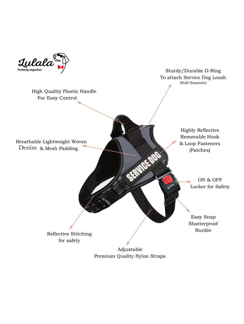 grey plastic harnes - 18739874 -  Standard Image - 1