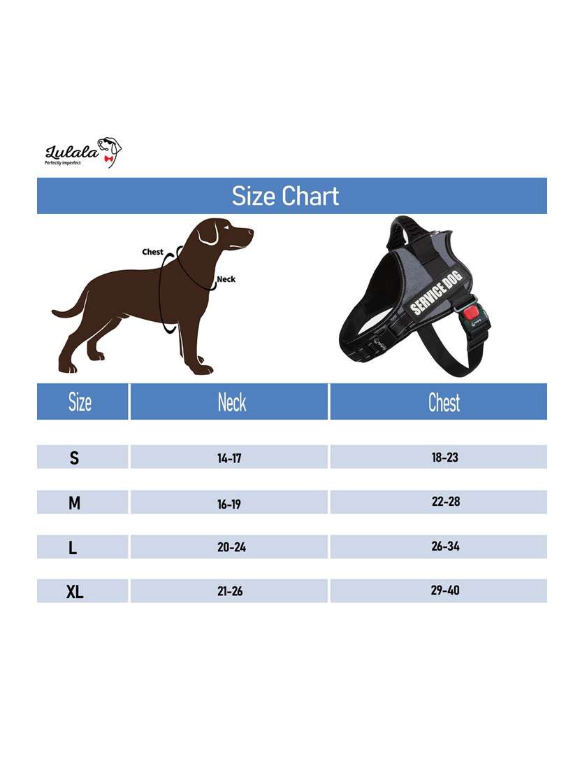 grey plastic harnes - 18739874 -  Standard Image - 4