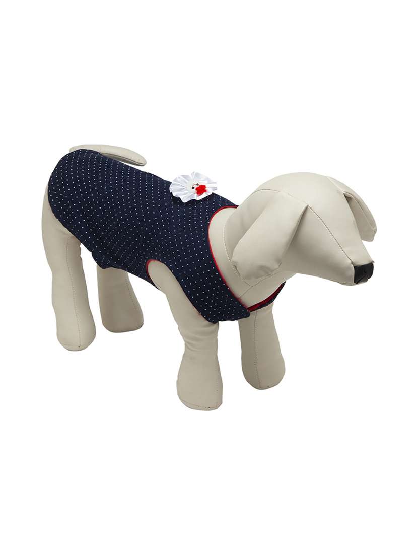 multi colored cotton blend pet apparel - 18764614 -  Standard Image - 1