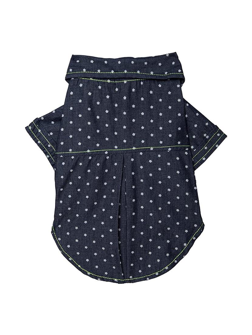 multi colored cotton pet apparel - 18764627 -  Standard Image - 1