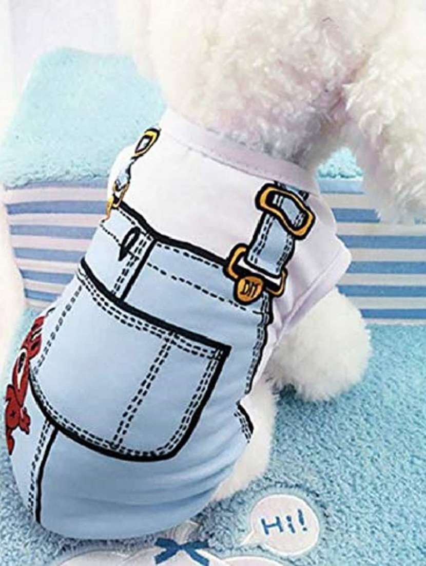 multi colored cotton blend pet apparel - 18764675 -  Standard Image - 1