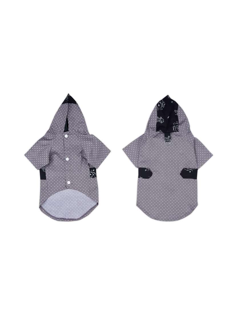 multi colored cotton pet apparel - 18764702 -  Standard Image - 1