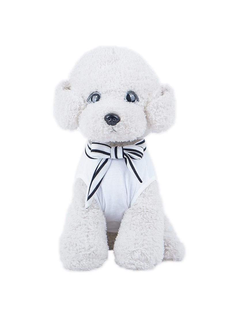 multi colored cotton pet apparel - 18764746 -  Standard Image - 1