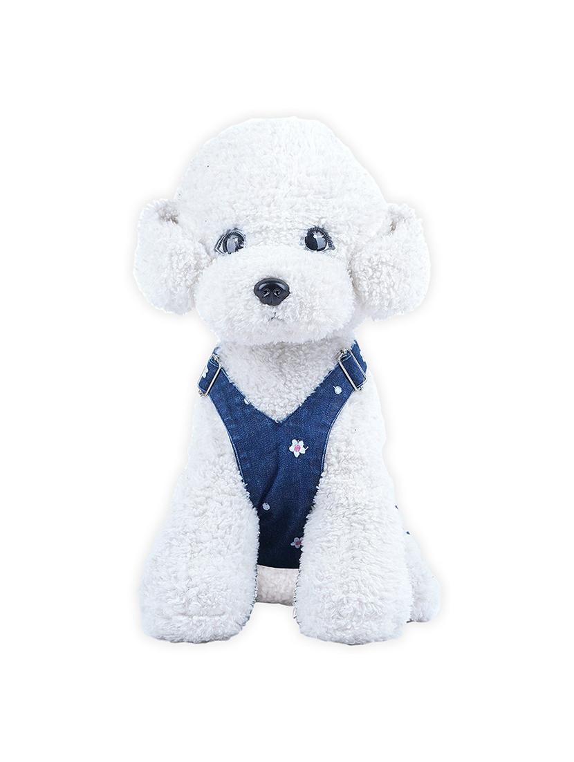 multi colored cotton pet apparel - 18764806 -  Standard Image - 1