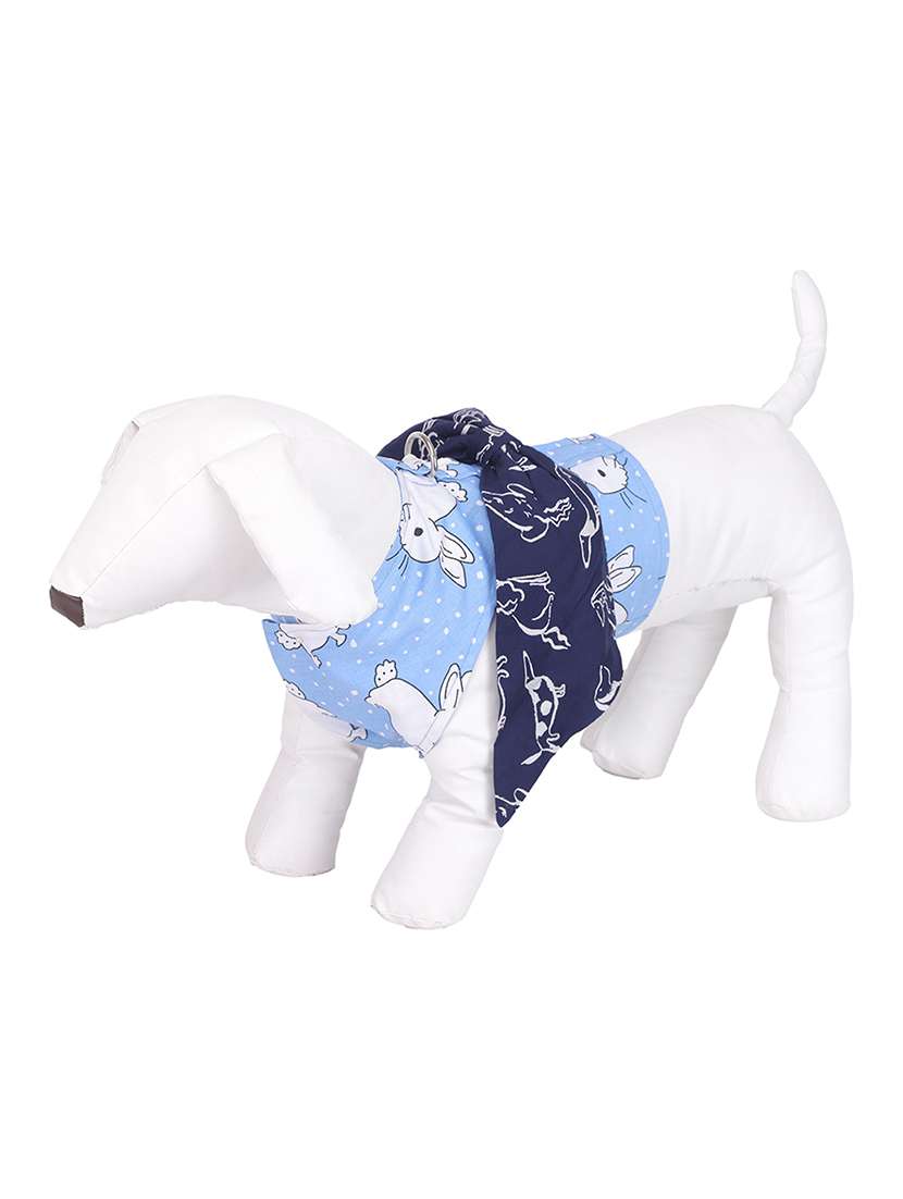 multi colored cotton pet apparel - 18764880 -  Standard Image - 1