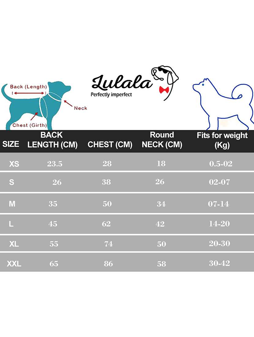 multi colored cotton pet apparel - 18764880 -  Standard Image - 4