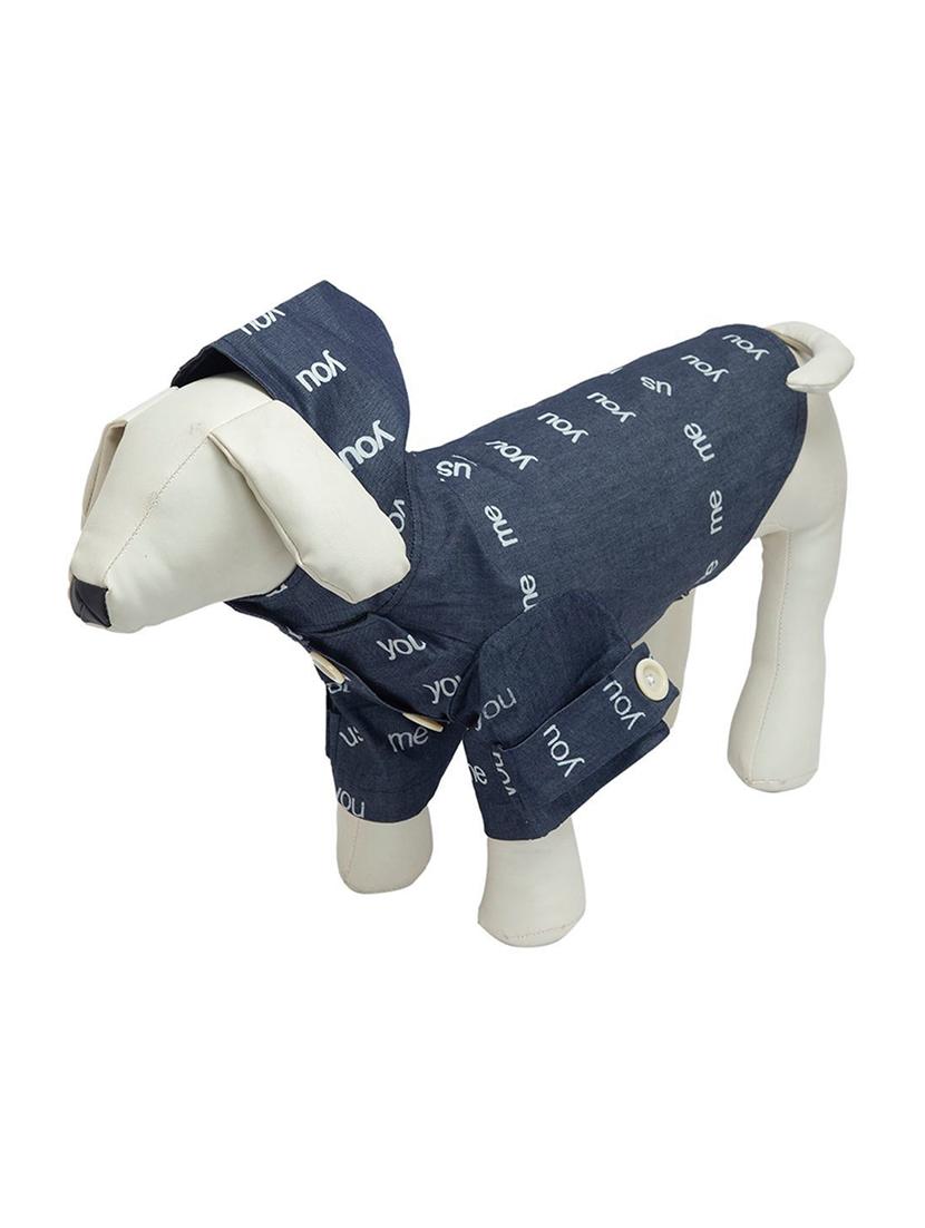 multi colored cotton pet apparel - 18764902 -  Standard Image - 1