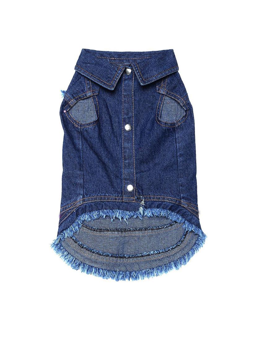 multi colored cotton pet apparel - 18765001 -  Standard Image - 1