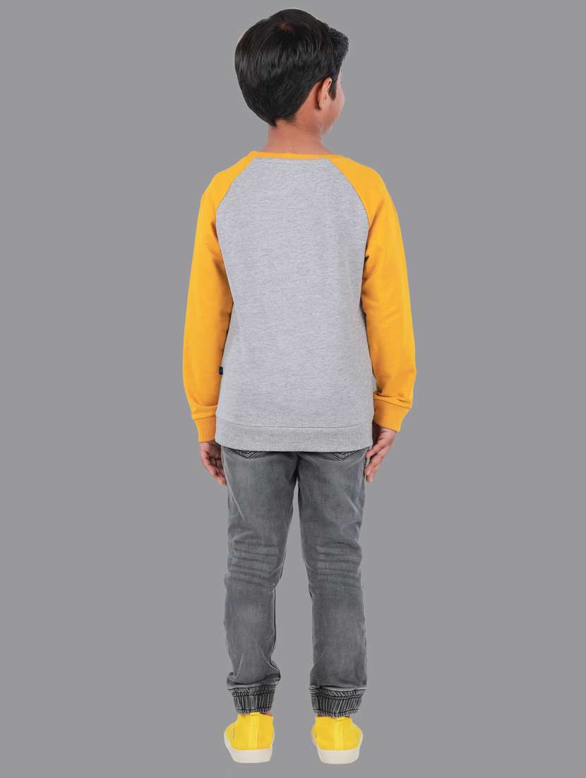 boys color block sweatshirt - 18878045 -  Standard Image - 4