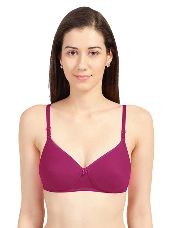 pack of 2 solid regular bra - 19139345 - Standard Image - 1
