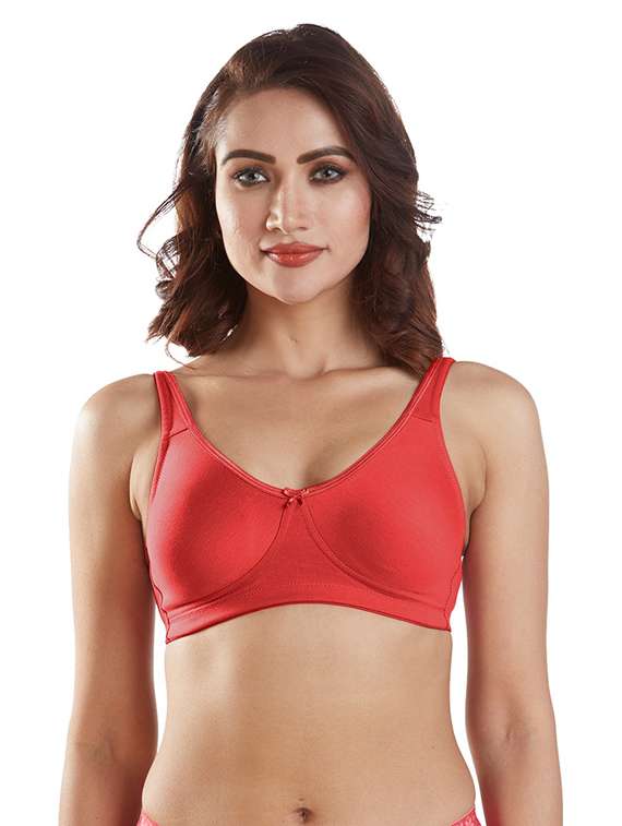 pack of 2 solid regular bra  - 19140024 -  Standard Image - 1