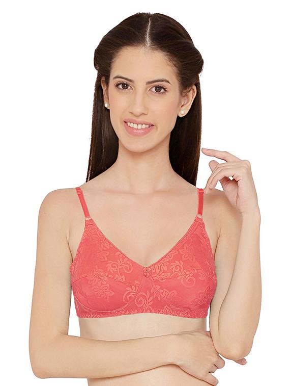 pack of 2 solid regular bra - 19140456 - Standard Image - 1