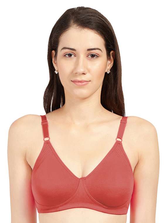 pack of 2 solid regular bra  - 19141028 -  Standard Image - 1