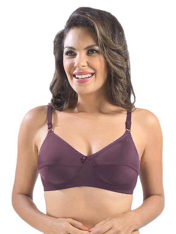 pack of 2 solid regular bra  - 19141450 -  Standard Image - 1