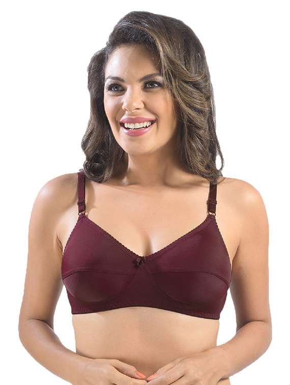 pack of 2 solid regular bra  - 19141460 -  Standard Image - 1