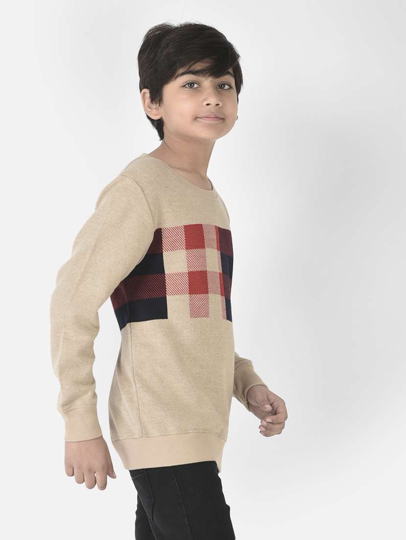 boys checks sweatshirt - 19164653 -  Standard Image - 1