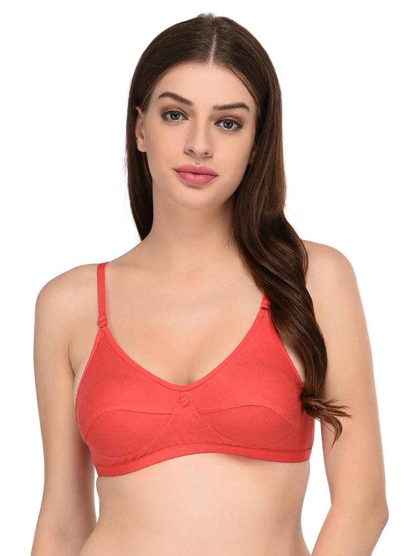 pack of 2 non padded t-shirt bra - 19172276 - Standard Image - 1