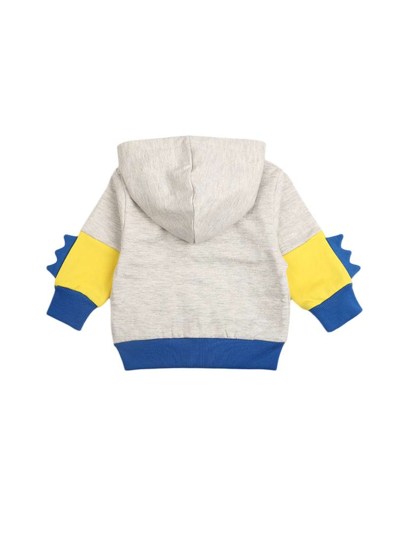 boys color block sweatshirt - 19205233 -  Standard Image - 1