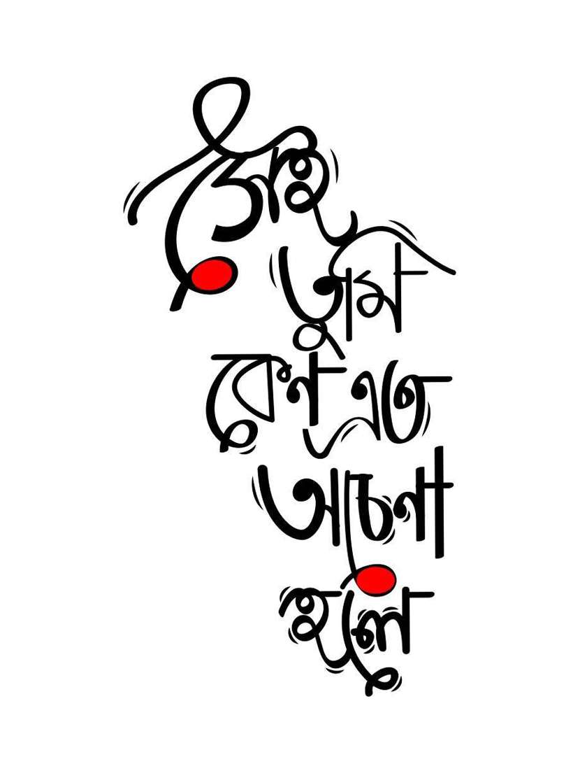 cotton regular t-shirt - 19353257 -  Standard Image - 4