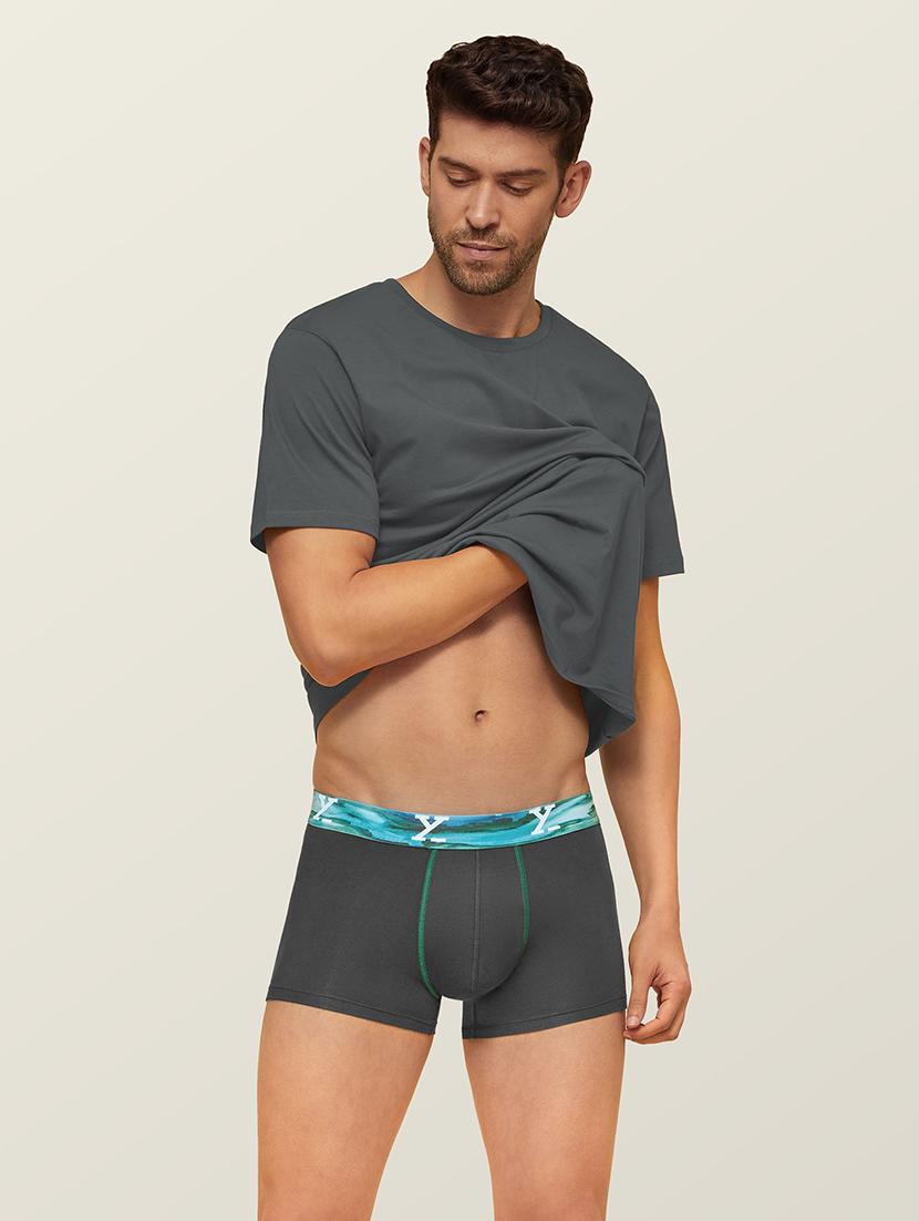 grey solid trunks - 19411245 - Standard Image - 4