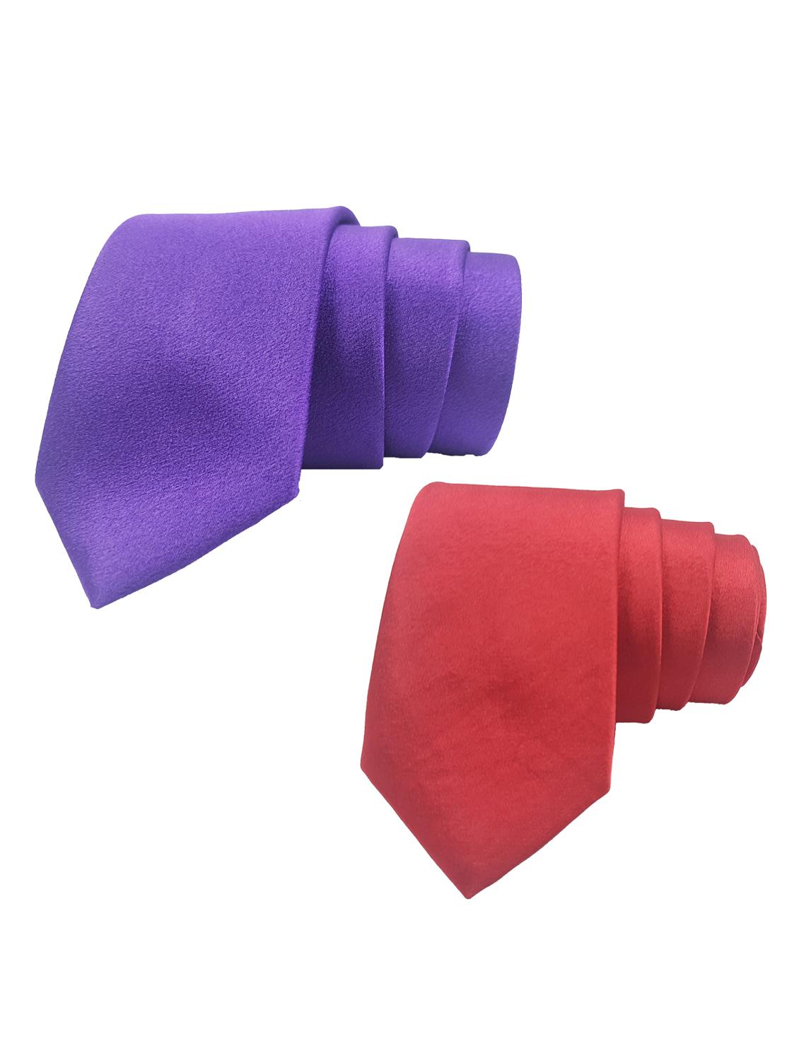 men's pack of 2 necktie - 19617240 - Standard Image - 1