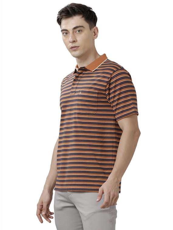 striped polo t-shirt - 19723204 -  Standard Image - 1